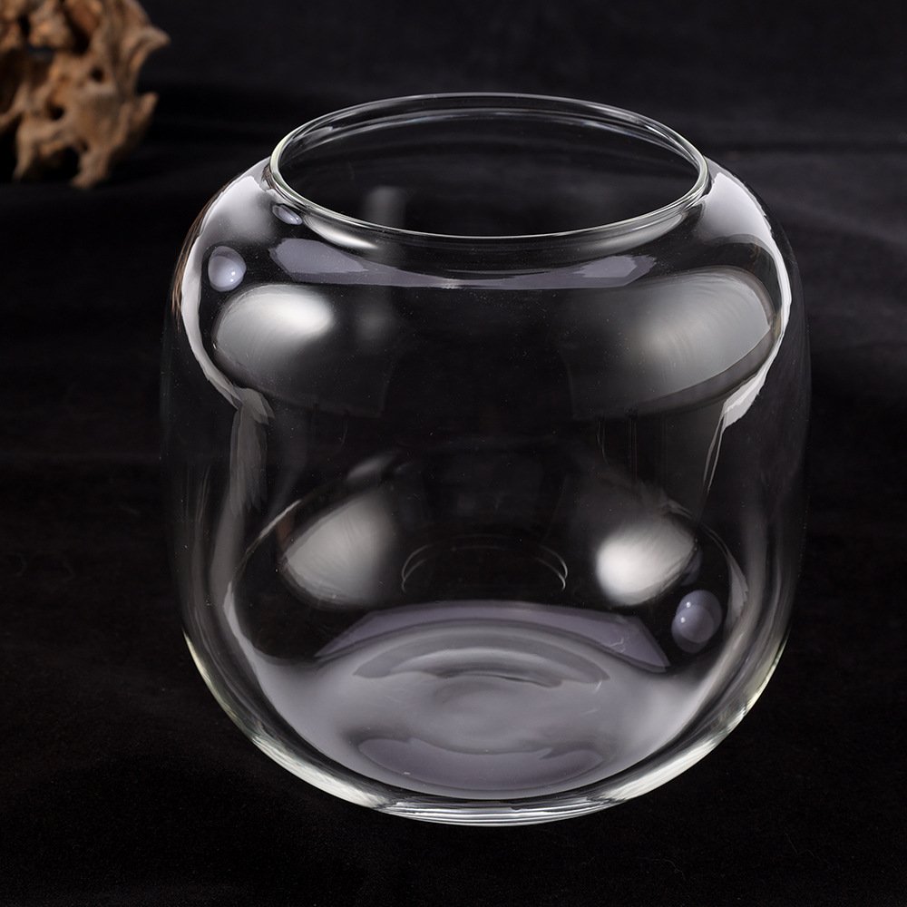 Micro Landscape Ecological Glass Moss Bottle Green Plant Hydroponics Tank Creative Desk Face Fish Tank Aquarium Accessory