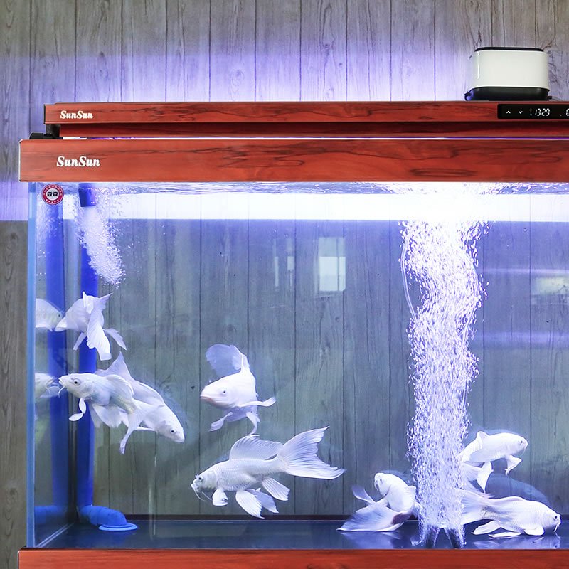 Sunsun Wholesale Electric Low Noise Aquarium Dual-use AC/DC Air Pump for Fish Tank Accessories for Oxygen Generator
