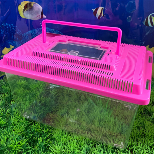 Cheap Small Fish Tank Portable Small Watch Carton Rectangle Aquariums & Accessories for Sale Portable Clear Plastic Lovely Fish