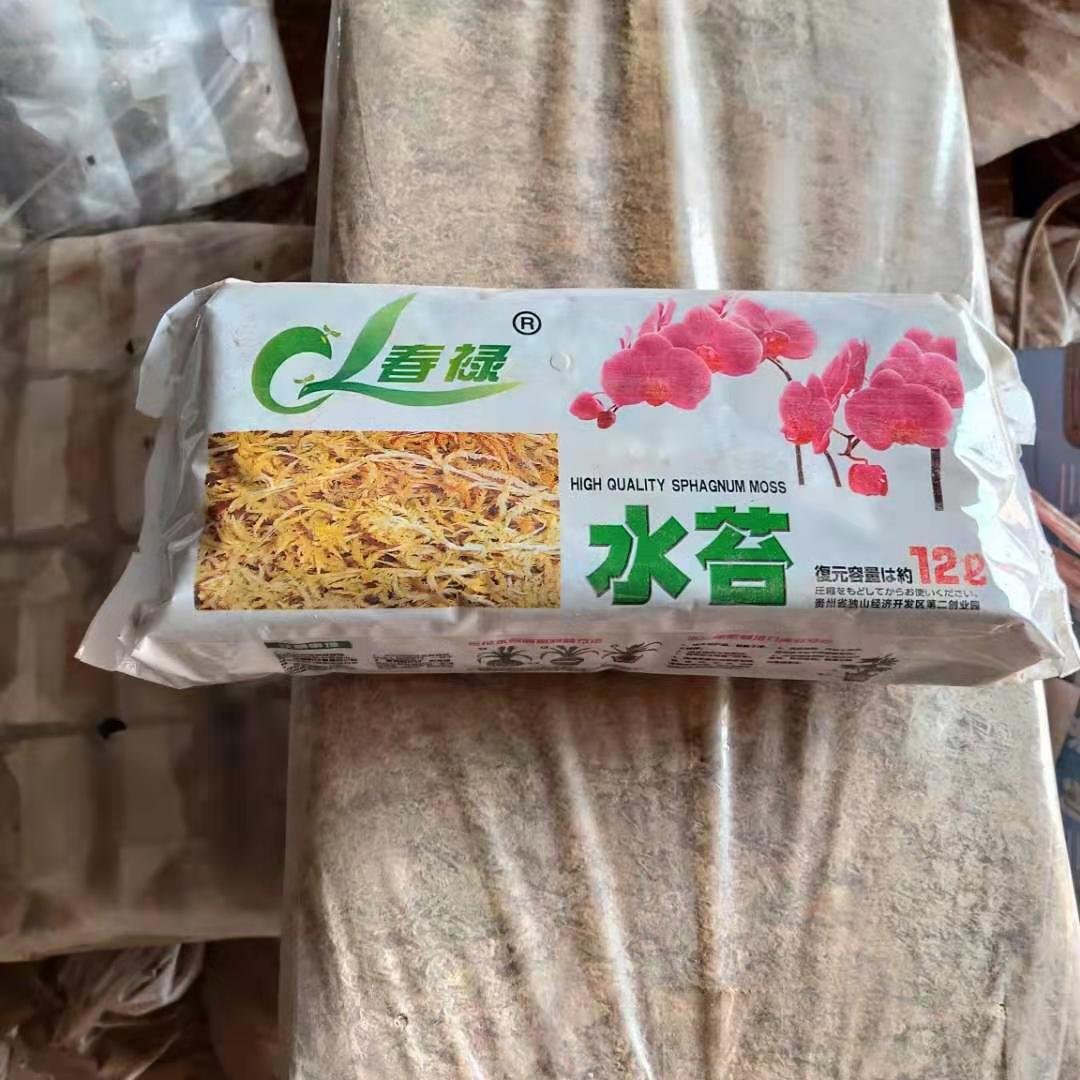 Hot selling wholesale compressed moss natural pet moisturizing pad material turtle snake reptile hibernation moss pad