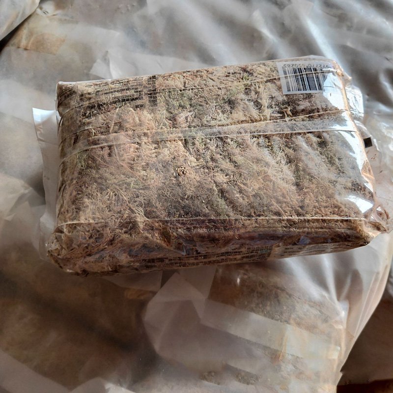Hot selling wholesale compressed moss natural pet moisturizing pad material turtle snake reptile hibernation moss pad