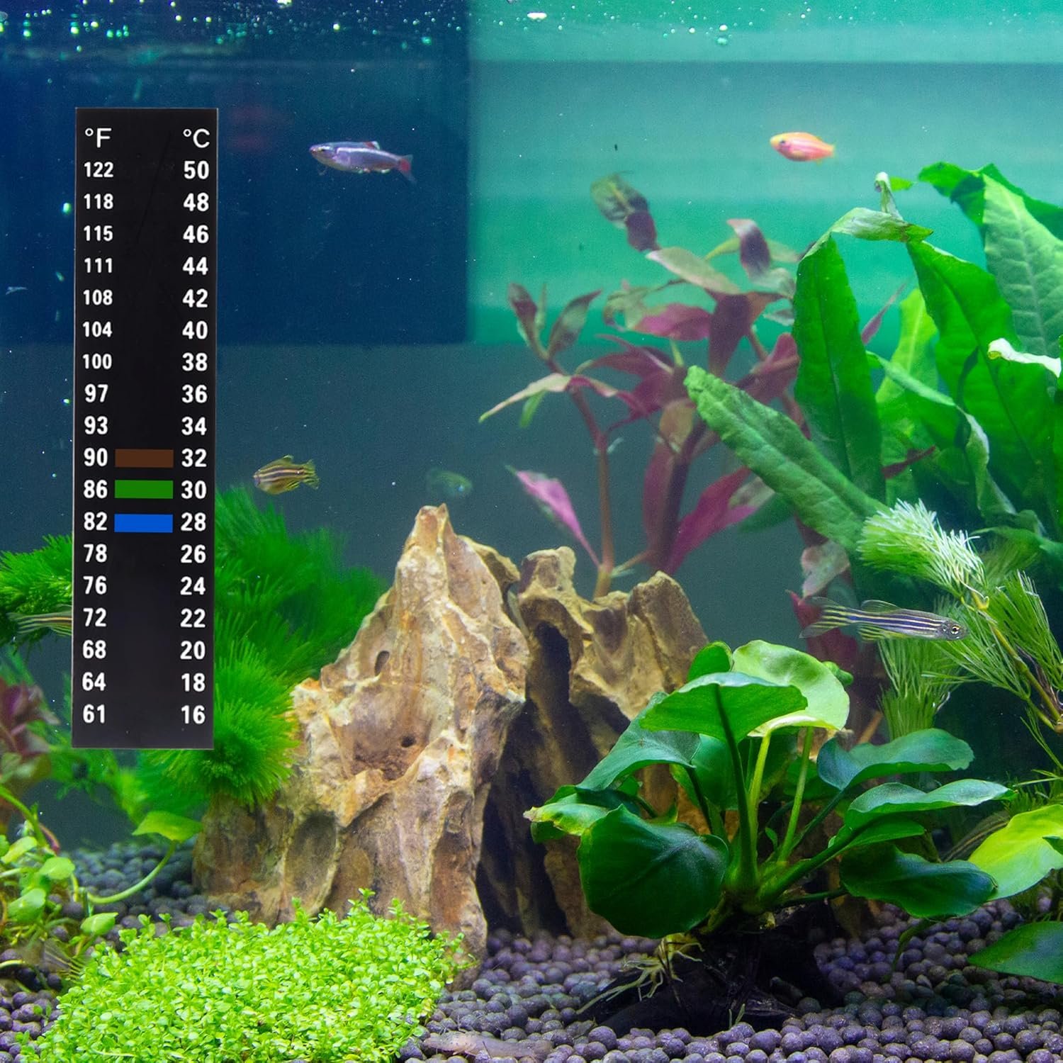 Aquarium Thermometer Strips, Fish Tank Temperature Gauge Stickers, Reptile Thermometer, Stick-on Temperature Monitor Strips