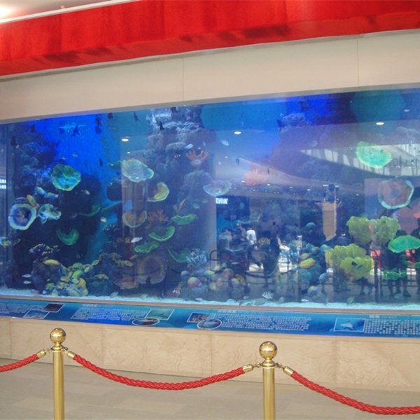 Fish Aquarium Acrylic Fish Tank XC Factory Custom Simple Square Acrylic Indoor Aquariums & Accessories Plastic 20mm--500mm 2.71%