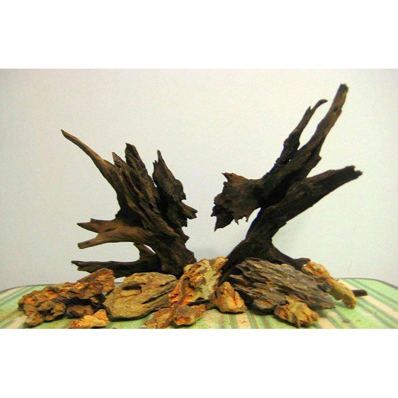 Best Seller 2024 Wholesale Natural Driftwood For Aquarium Party Decoration from Vietnam Manufacturer WhatsApp +84 963949178