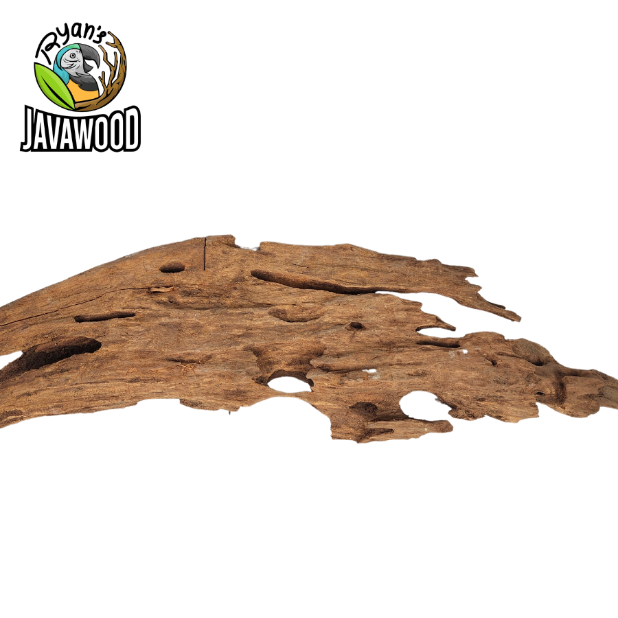 natural wooden decorative driftwood altingia excelsa for aqua scape and aquarium original from Indonesia