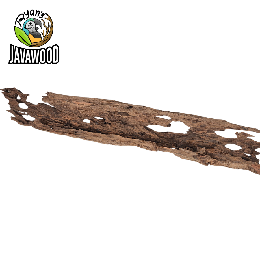natural wooden decorative driftwood altingia excelsa for aqua scape and aquarium original from Indonesia