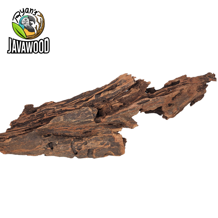 natural wooden decorative driftwood altingia excelsa for aqua scape and aquarium original from Indonesia