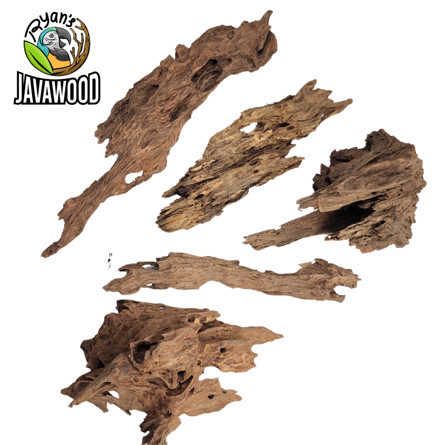 natural wooden decorative driftwood altingia excelsa for aqua scape and aquarium original from Indonesia