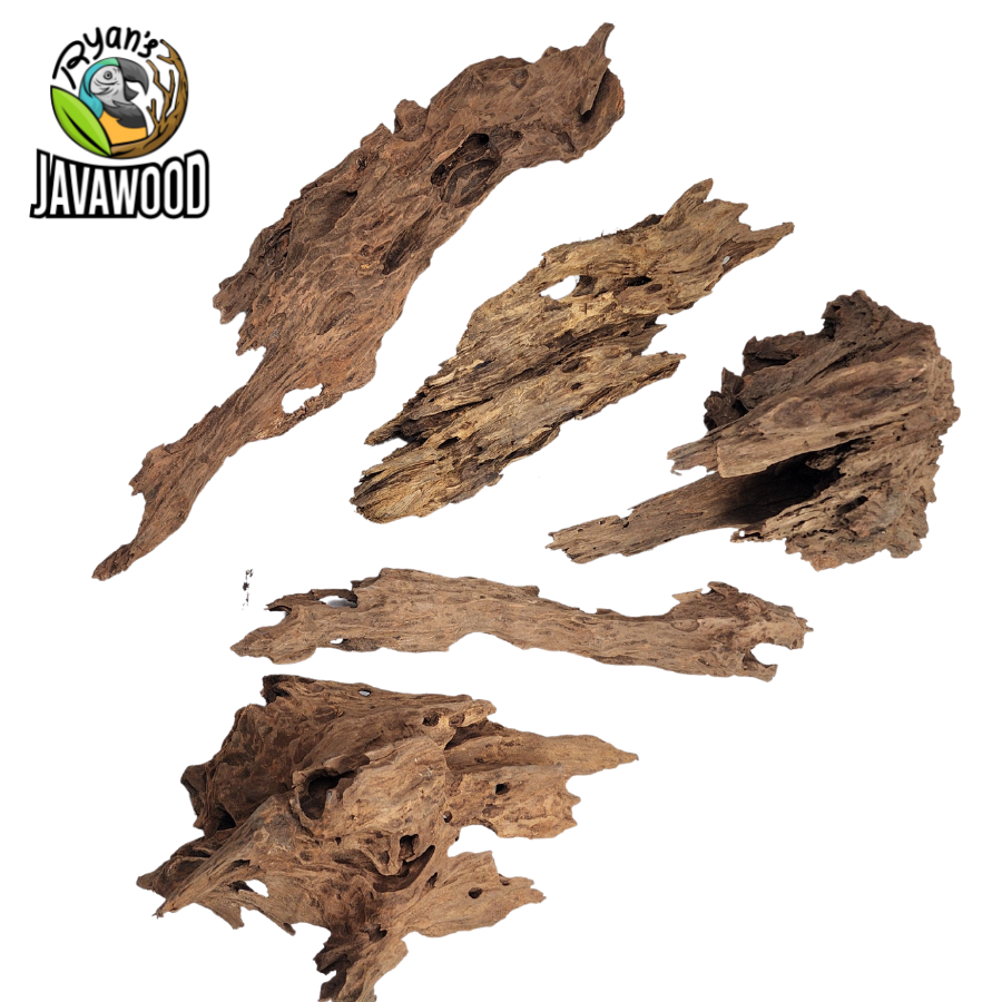 natural wooden decorative driftwood altingia excelsa for aqua scape and aquarium original from Indonesia