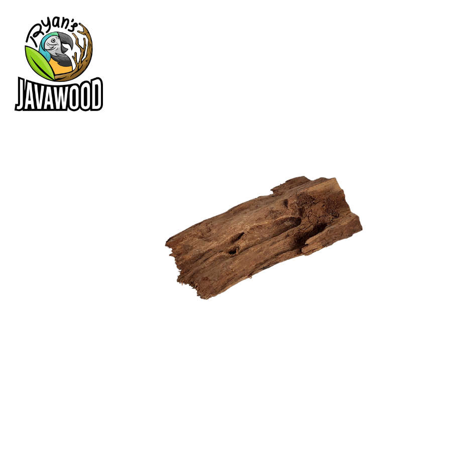 natural driftwood made by altingia excelsa for aquascape or water ornament or aquarium original from Indonesia
