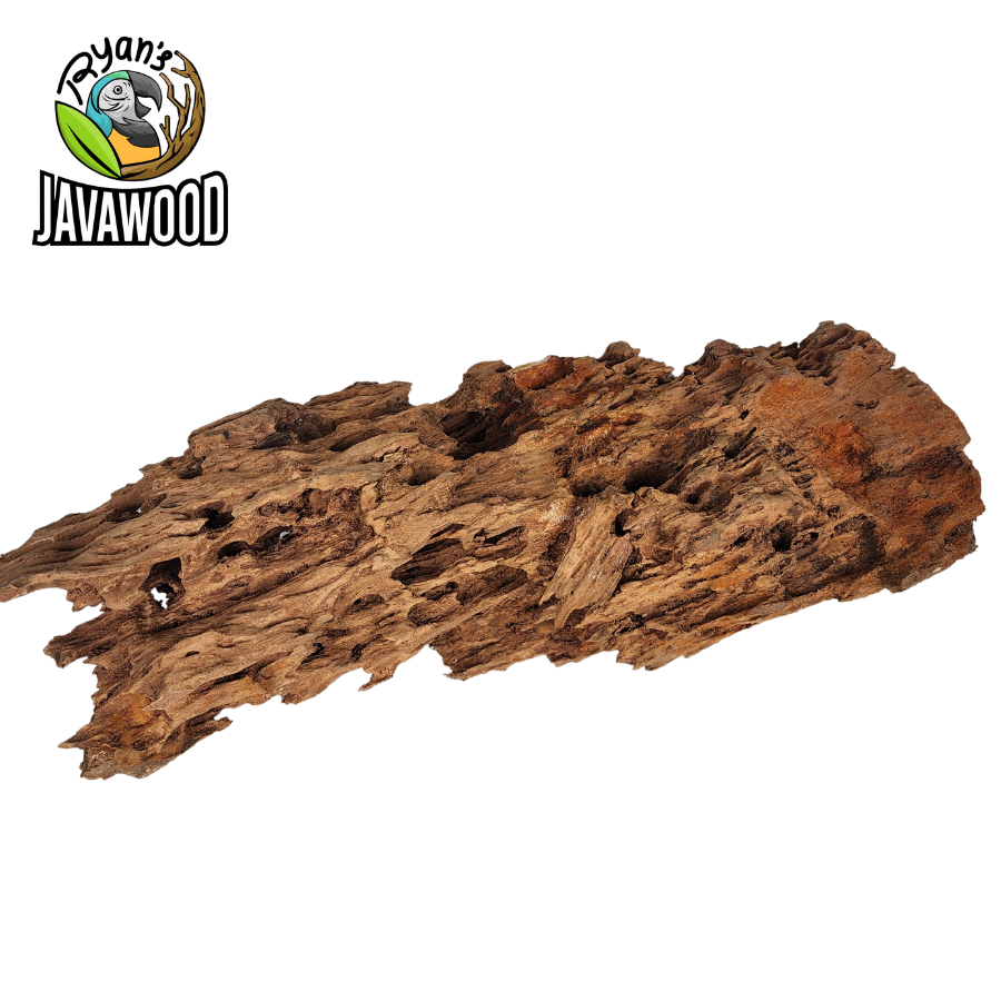 natural driftwood made by altingia excelsa for aquascape or water ornament or aquarium original from Indonesia