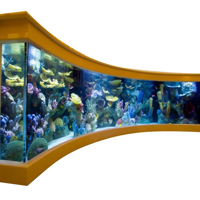 fish tank aquarium glass tank salt water fish tank aquarium