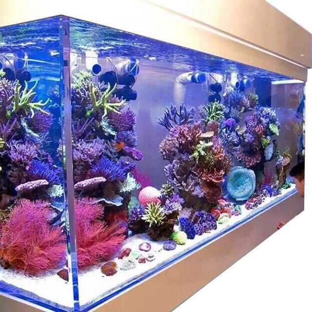 fish tank aquarium glass tank salt water fish tank aquarium