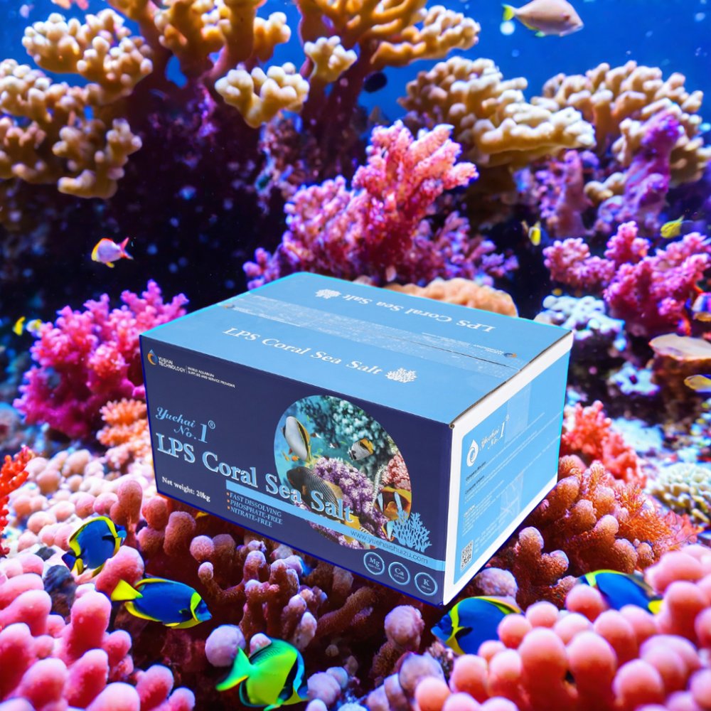 customized packaging box Welcomed aquariums & accessories 20kg artificial LPS marine sea salt mix bulk for aquarium