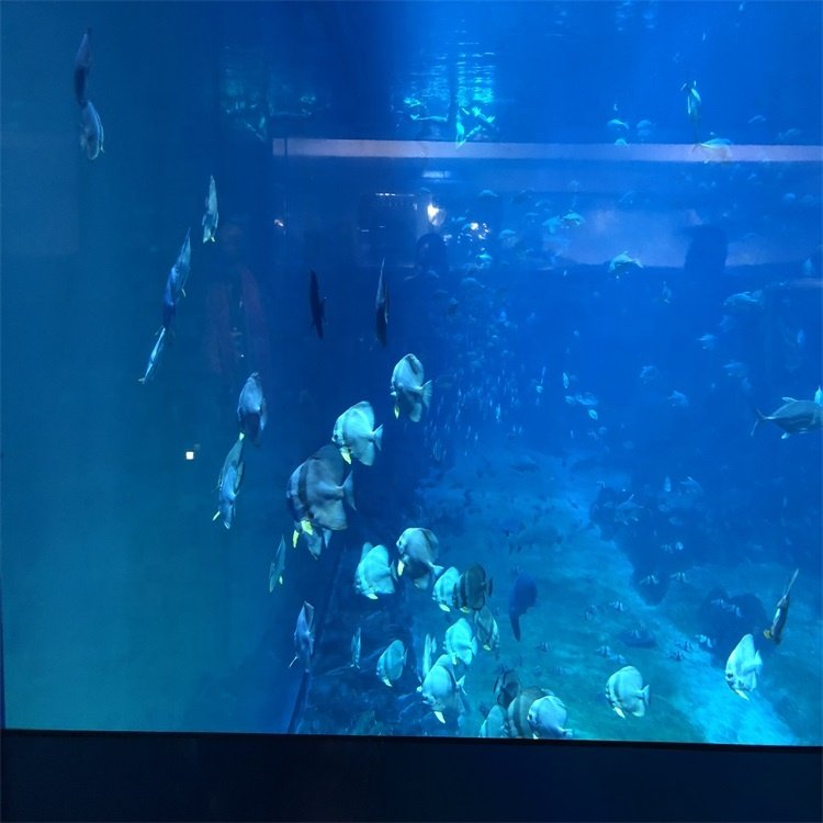 modern design top quality ang clear fish tank seawater fish tank and acrylic aquarium