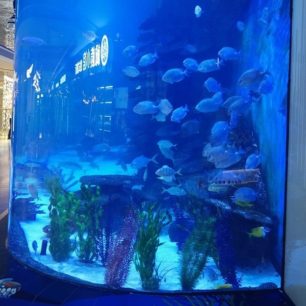 modern design top quality ang clear fish tank seawater fish tank and acrylic aquarium