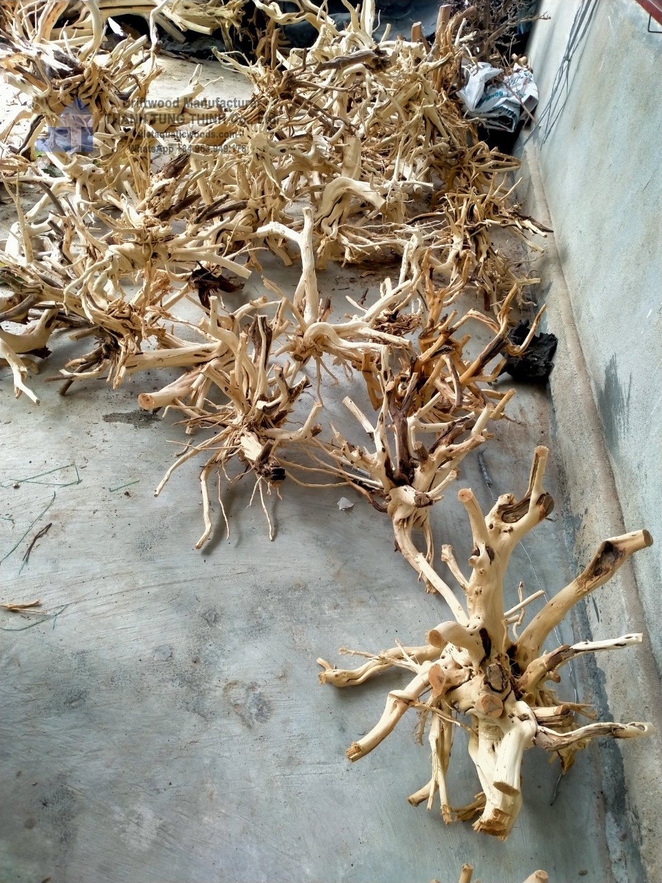 High-demand driftwood aquarium natural driftwood decorative for sale WhatsApp +84 963949178