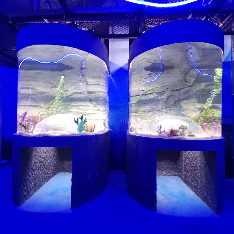 Cylinder Acrylic Fish Aquarium Tanks, Giant Aquariums Giant Customized Acrylic Circle Acrylic Tube Aquarium