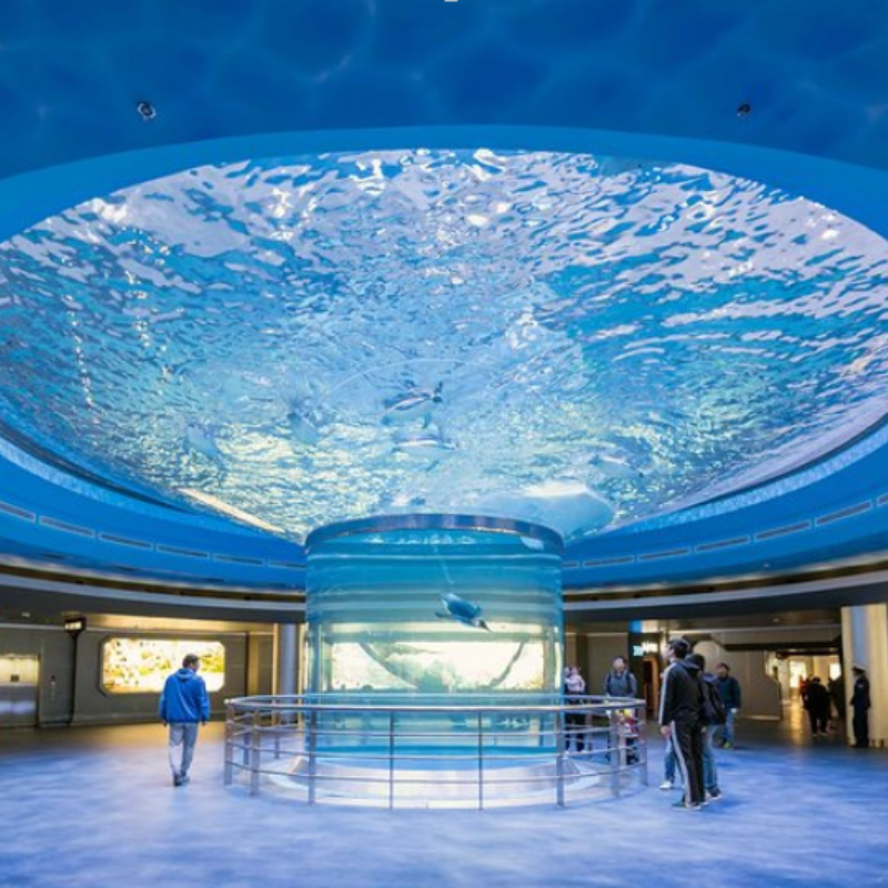 Cylinder Acrylic Fish Aquarium Tanks, Giant Aquariums Giant Customized Acrylic Circle Acrylic Tube Aquarium