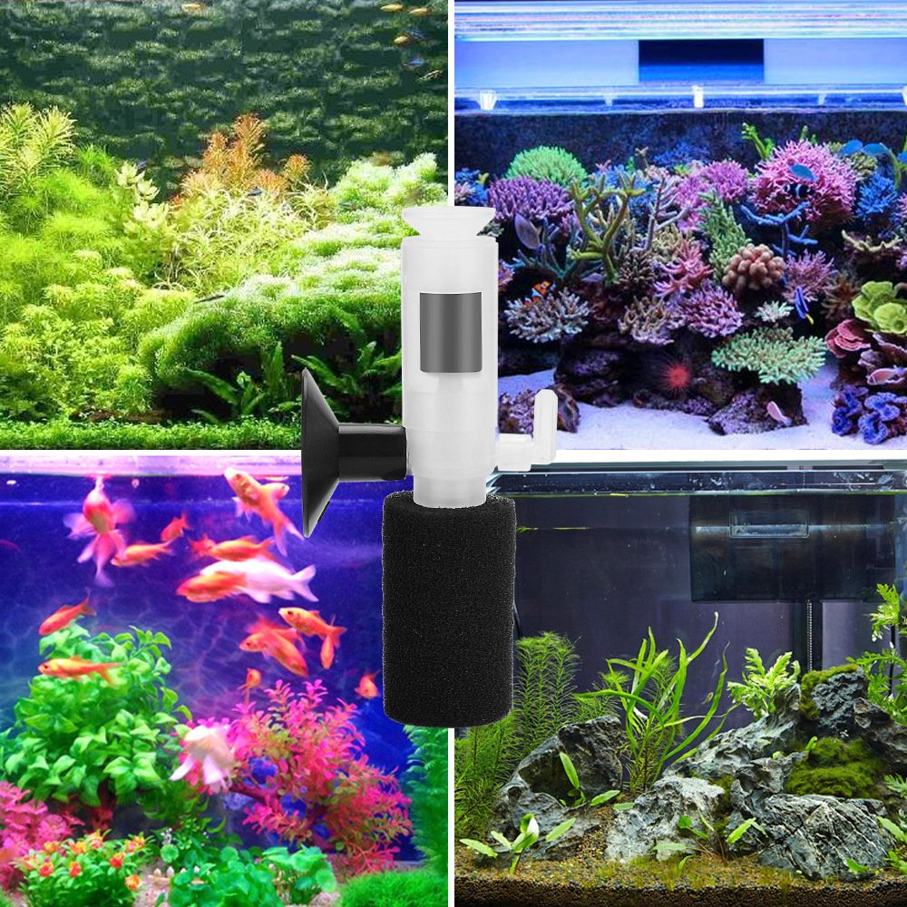 Bio Sponge Filter Small Aquarium