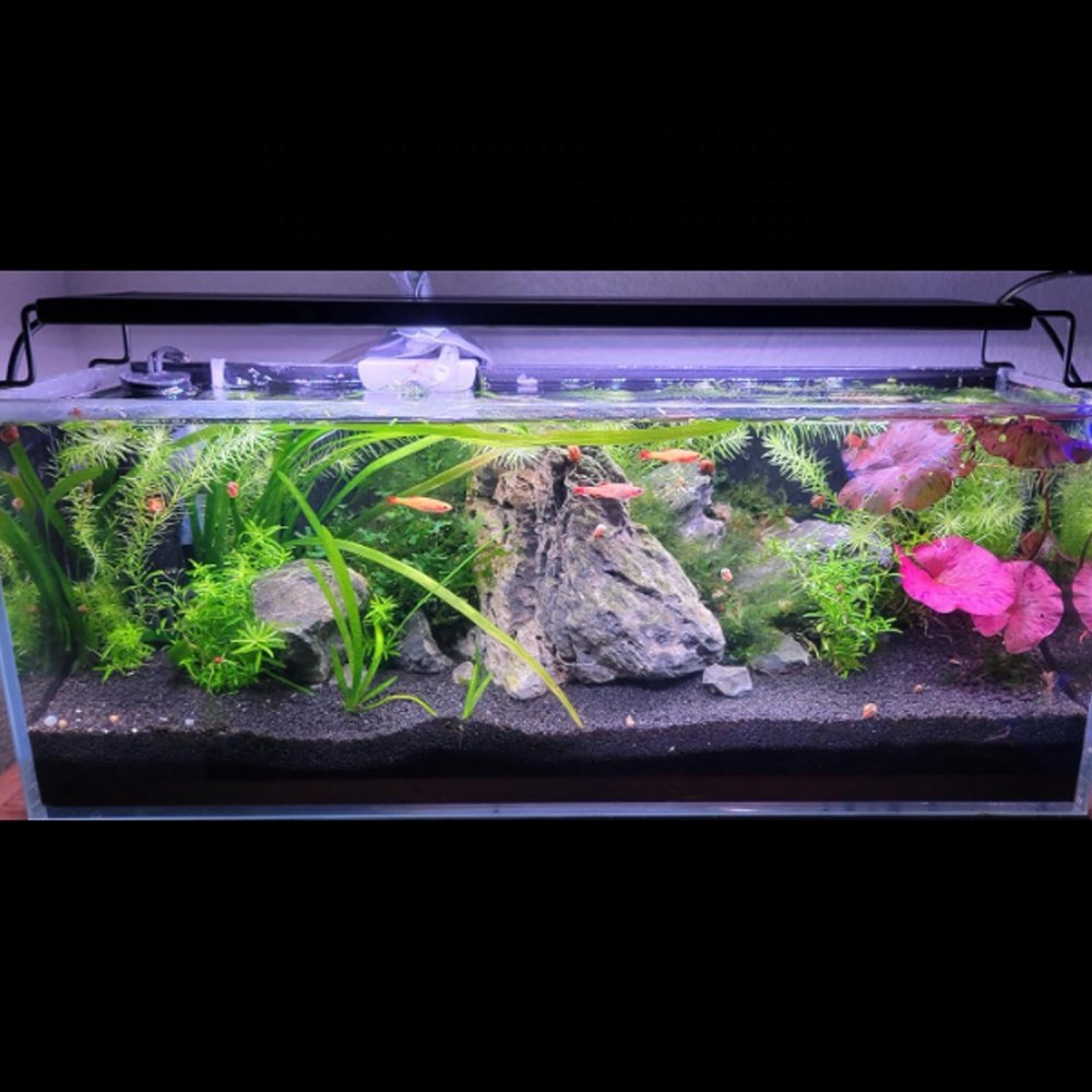 24/7 nature mode LED Aquarium Light for freshwater fish tank , Full Spectrum Fish Tank Light with RGB and Timer Adjustable