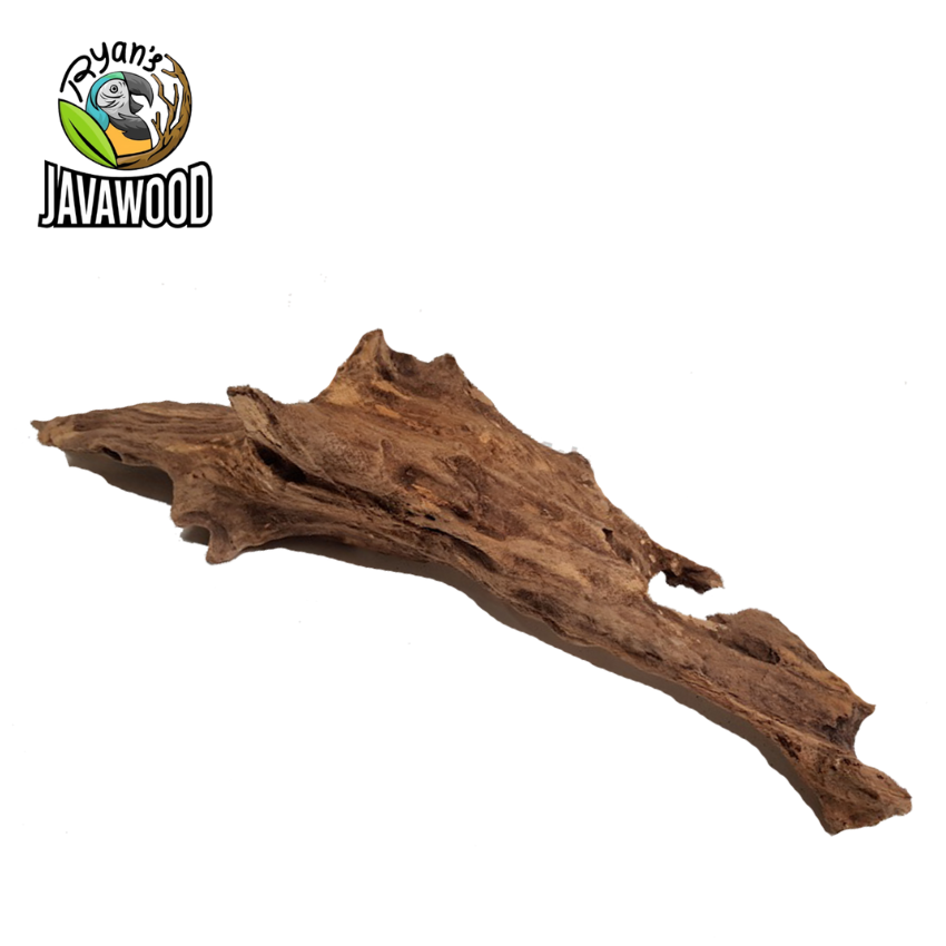 Natural Bonsai Driftwood Aquarium Reptile Branch Aquarium Wood Fish Tank Decorations from Central Java Indonesia
