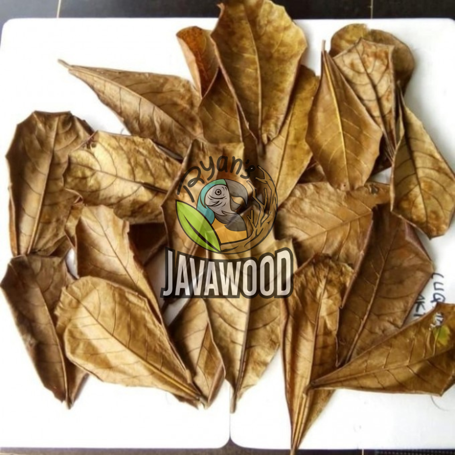Fermented Terminalia Catappa Indian Almond Leaves for Aquarium High Quality for healthy fish brown tea color