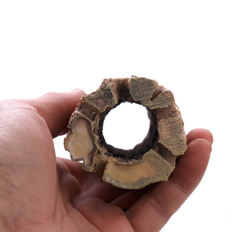 Resin Cholla Wood Aquarium Fish Tank Landscaping Resin Shrimp Nest Tank Dodging House Spawning Hole Fish Roots resin craftwork