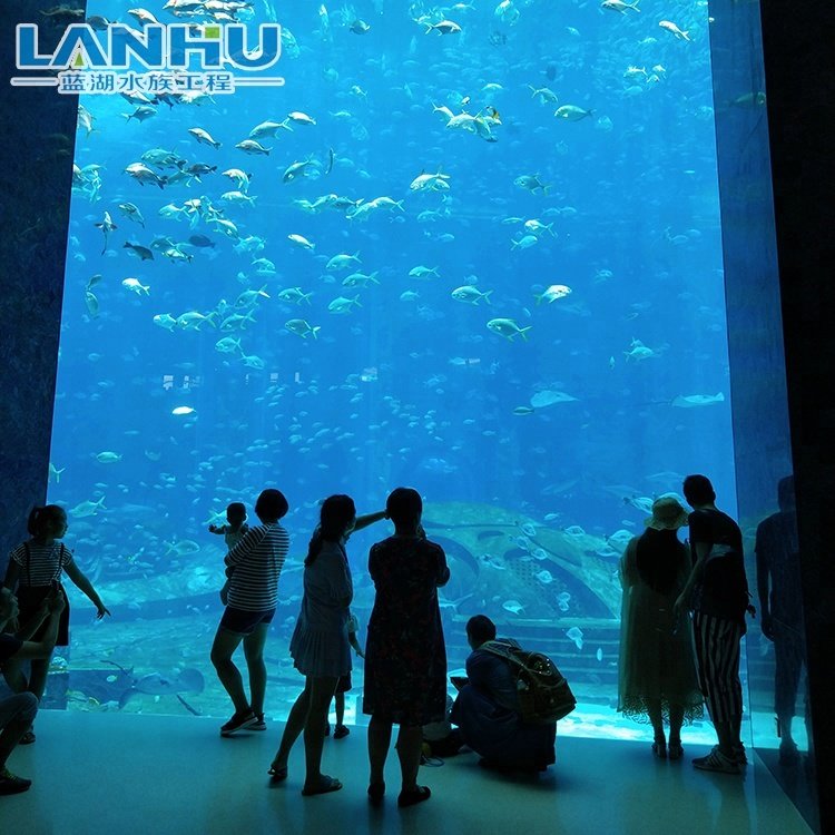 Factory Direct Supply Cheap Price Large Clear Thick Acrylic Aquarium Fish Tank View Window Panels
