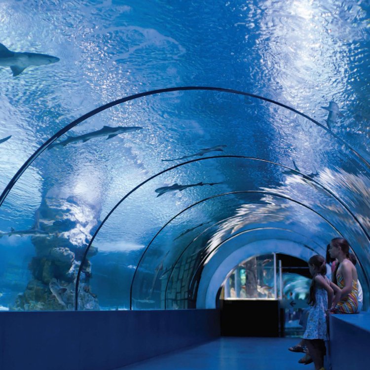 HUASHUAITE 30-year Warranty underwater tunnel with acrylic glass for fish aquarium