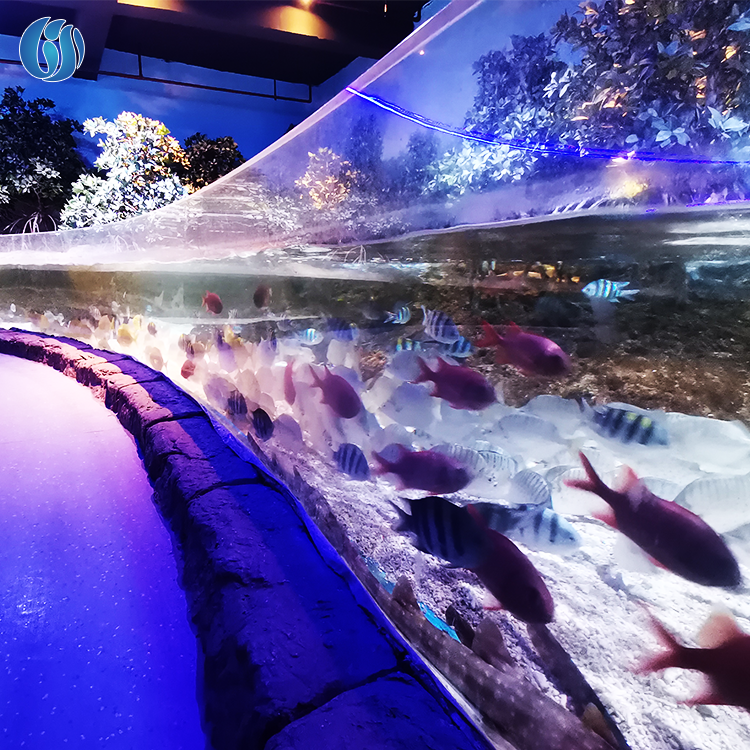 20-500Mm Customized Lucite Big Aquariums, Aqua Acrylic electrical/low noise/usb/Flea/Comb