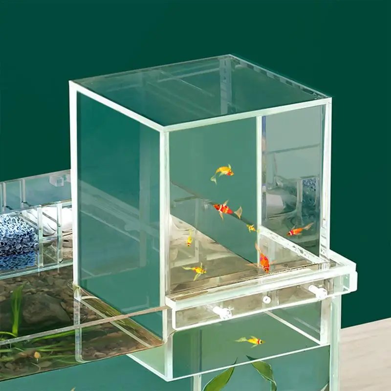 Acrylic Fish Tank Auto-Refill Aquarium Fish Elevator Tanks Lightweight Inverted Above Water