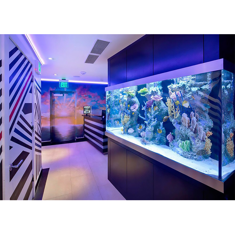 China Wholesale Custom Hot-Sale Divider Acrylic Fish/Water Plant Tank