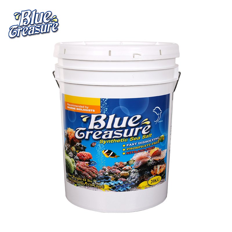 Ornamental and soft coral salt aquarium live tropical fish