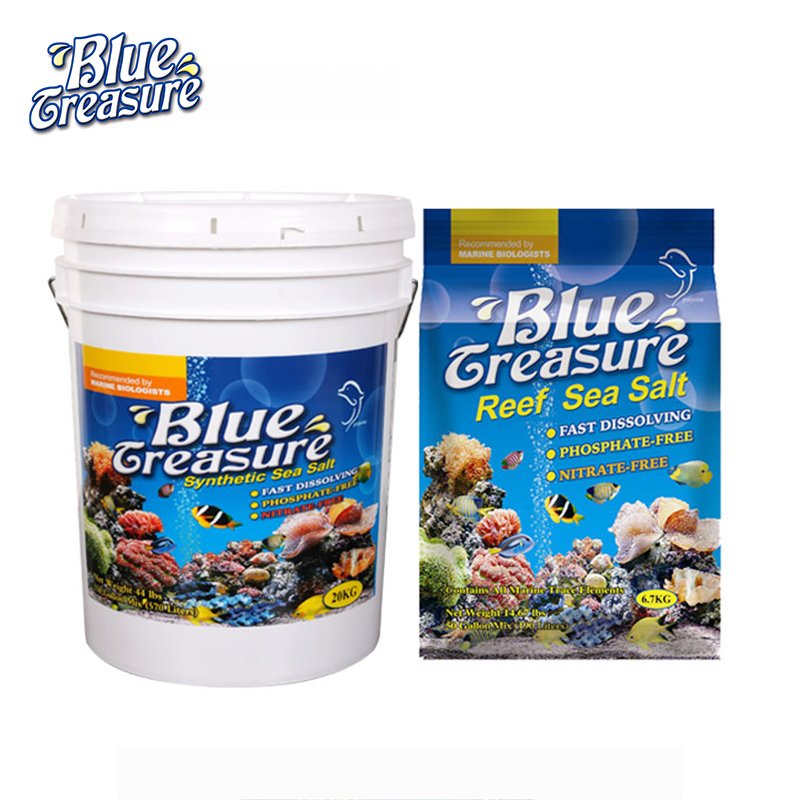 Ornamental and soft coral salt aquarium live tropical fish