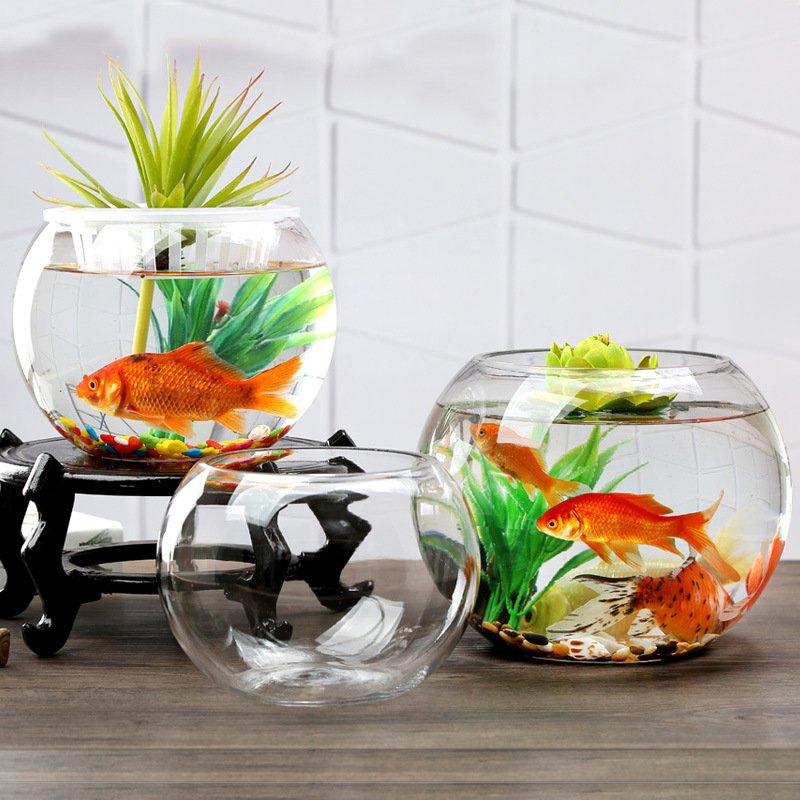 Fish tank pet glass factory new design large circular office fish tank aquarium