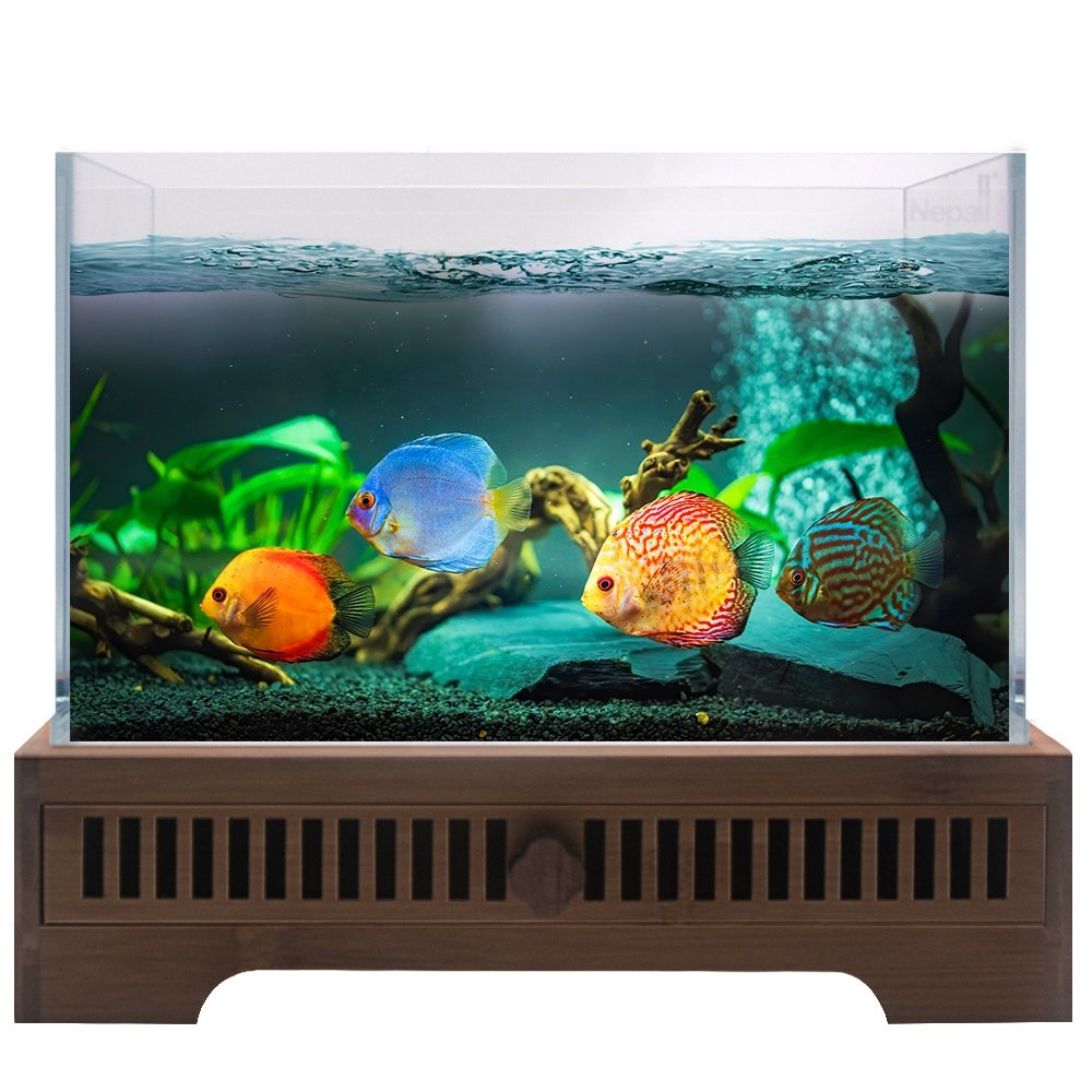 New Design mini aquarium Ultra high definition glass 5L volume betta plants wooden base transparent small fish tank