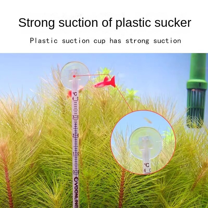 VOONLINE aquarium and reptile fish tank thermometer strip for water temperature test sticker on glass container