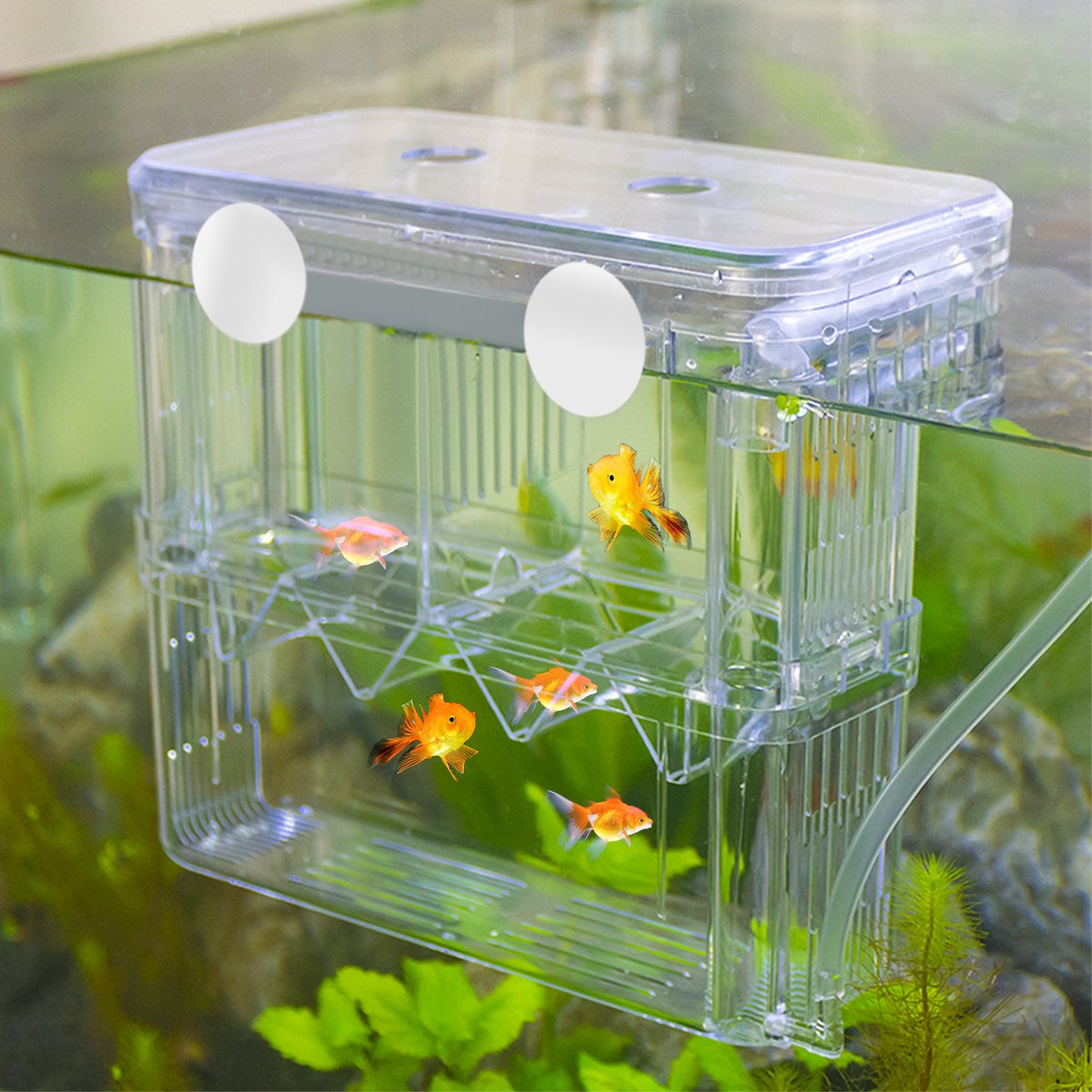 Aquarium multifunctional isolation box double-layer incubator aquarium breeding box