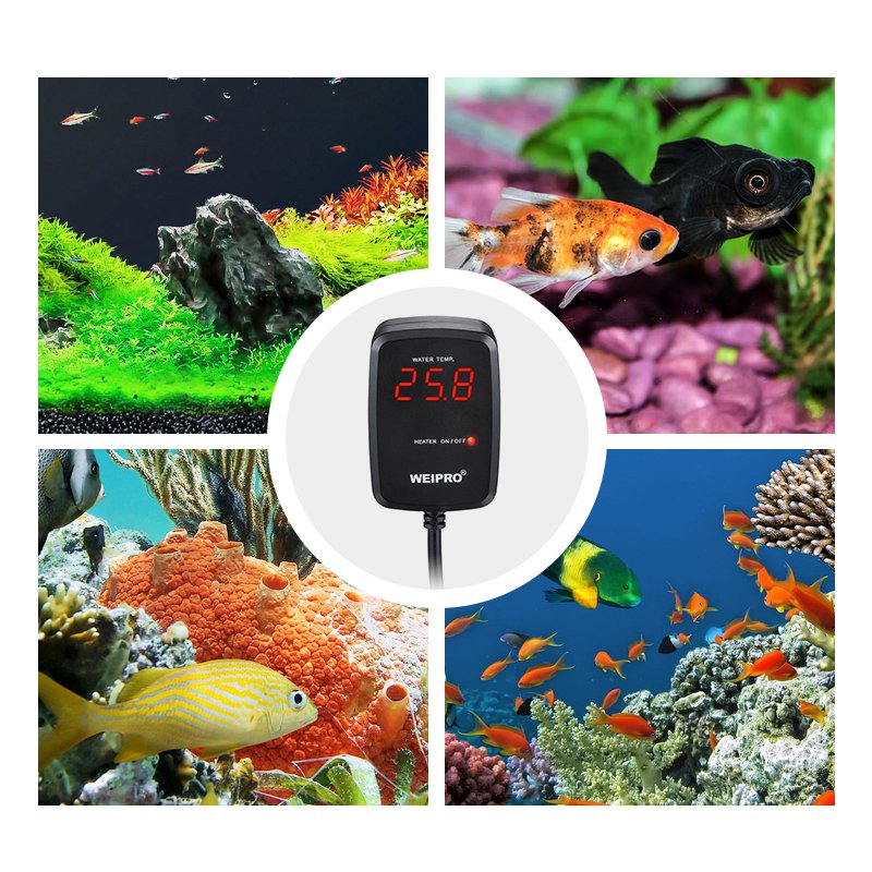 Ornamental Fish Tropical Marine Aquarium Heater Thermostat With Temperature Control