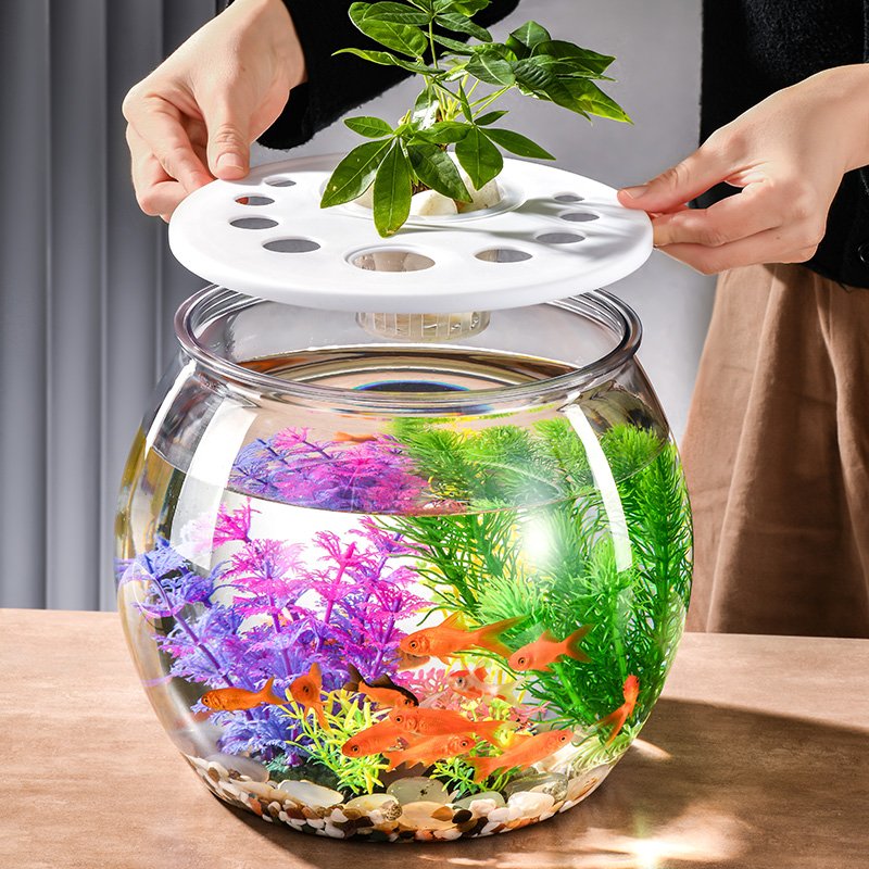 Small Transparent Plastic Goldfish Tank Desktop Office Aquarium with Fall Drum Water Usage for Office Viewing for Turtle Tank