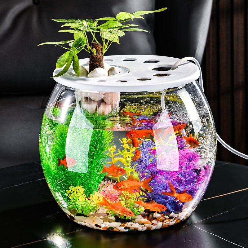 Small Transparent Plastic Goldfish Tank Desktop Office Aquarium with Fall Drum Water Usage for Office Viewing for Turtle Tank