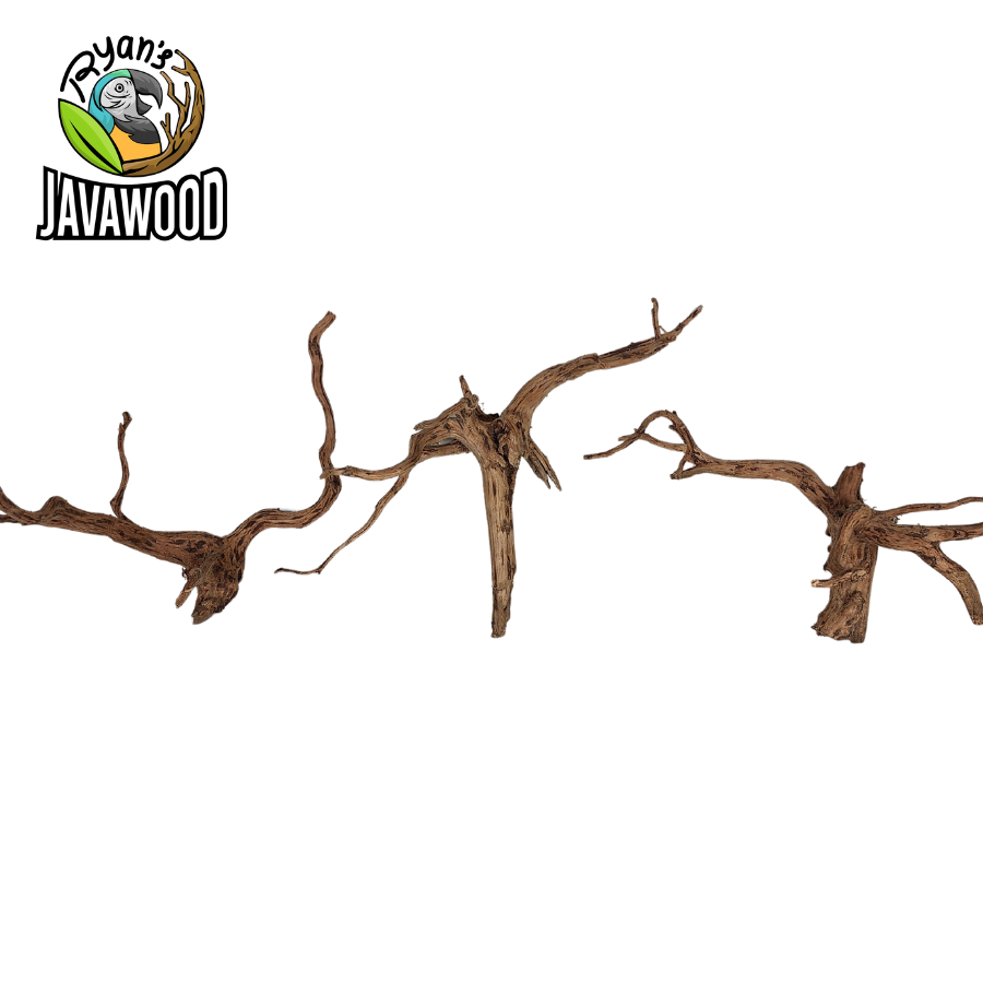 natural decorative spider-shaped wood for accessories decoration aqua scape altingia excelsa from Indonesia