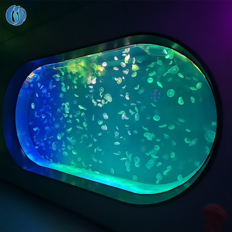 Lesheng Super Professional Heat Resistant New Style Small Aquariums, Acrylic Fish Aquarium% electrical/low noise/usb/Flea/Comb