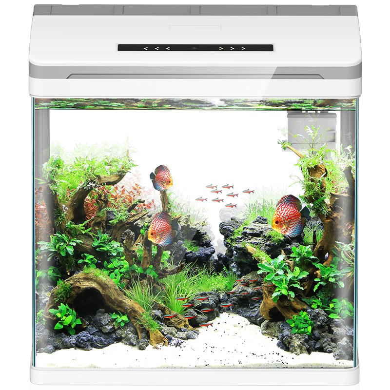 Color-changing smart ultra-transparent glass mini aquarium LED desktop aquarium landscape aquarium