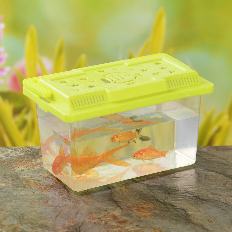 Small Transparent Plastic Fish Tank for Goldfish and Turtles for Children's Household Use Stall Carrying Water Features