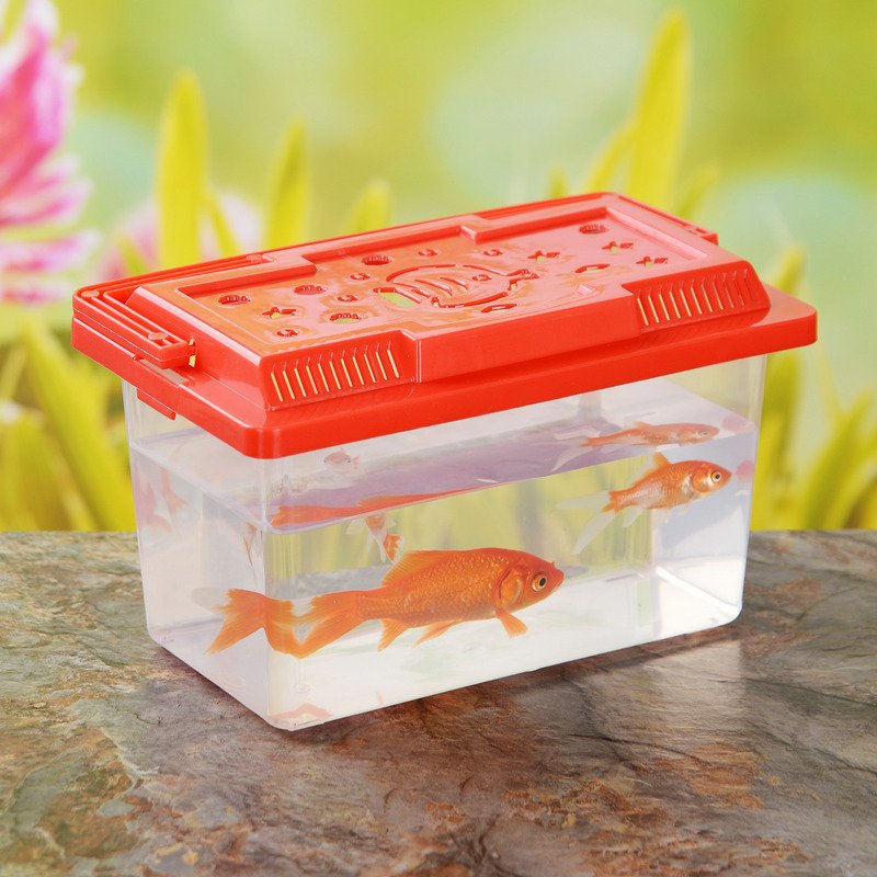 Small Transparent Plastic Fish Tank for Goldfish and Turtles for Children's Household Use Stall Carrying Water Features