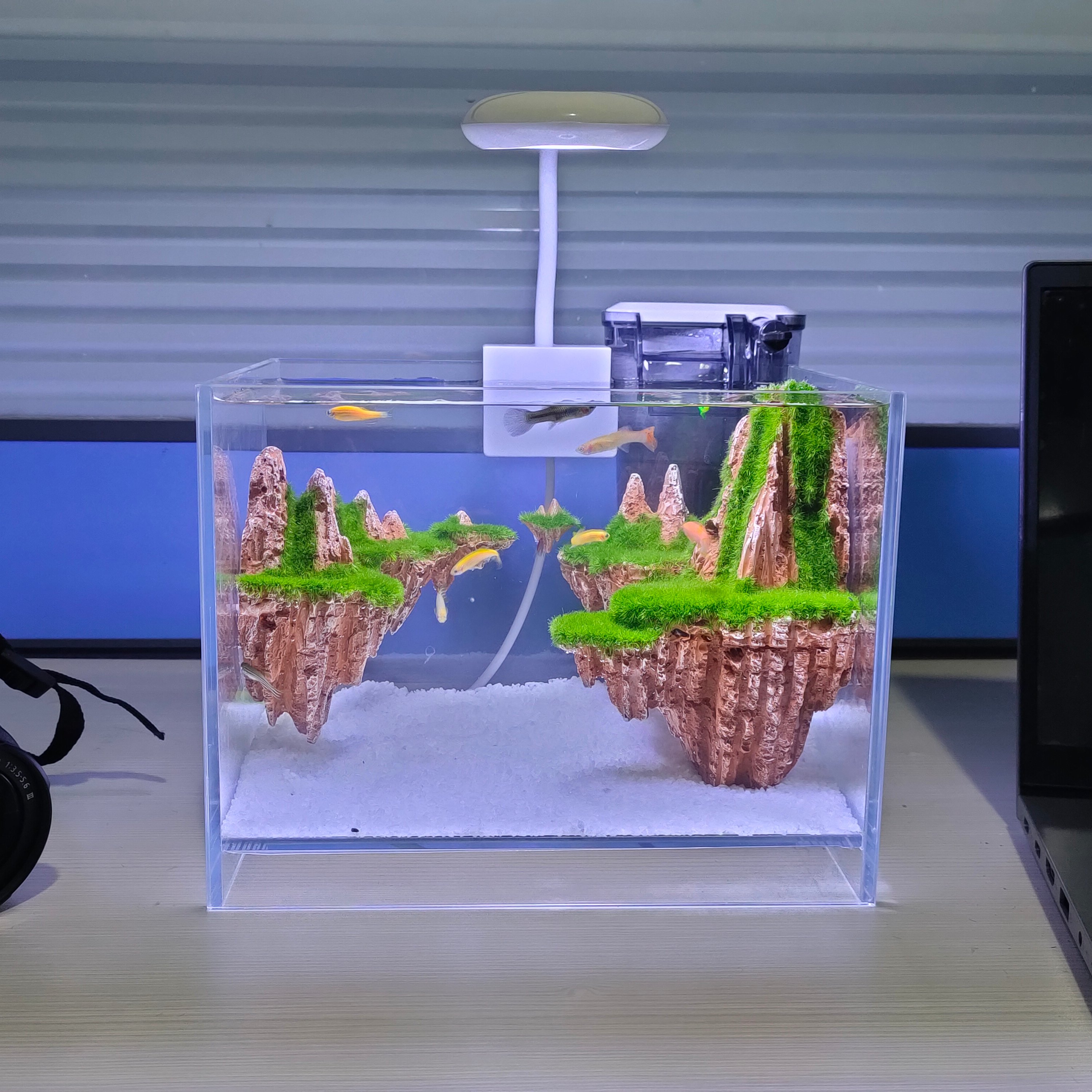 export quality new arrival wholesale low iron ultra white glass aquarium floating island aquarium tiny fish tank