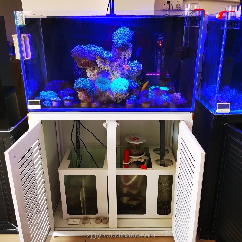 Leyu Hot selling Modern New Product Factory Price Acrylic Transparent Fish Tank Customized Shape 1000 Gallons Aquariums