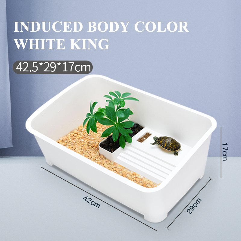 Plastic Aquarium Accessories Turtle Basin Tank aquarium turtle tank